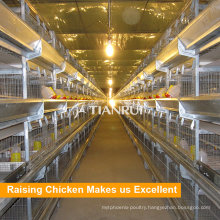 Tianrui Design Selling Chicken Layer Cage For Small Chicken